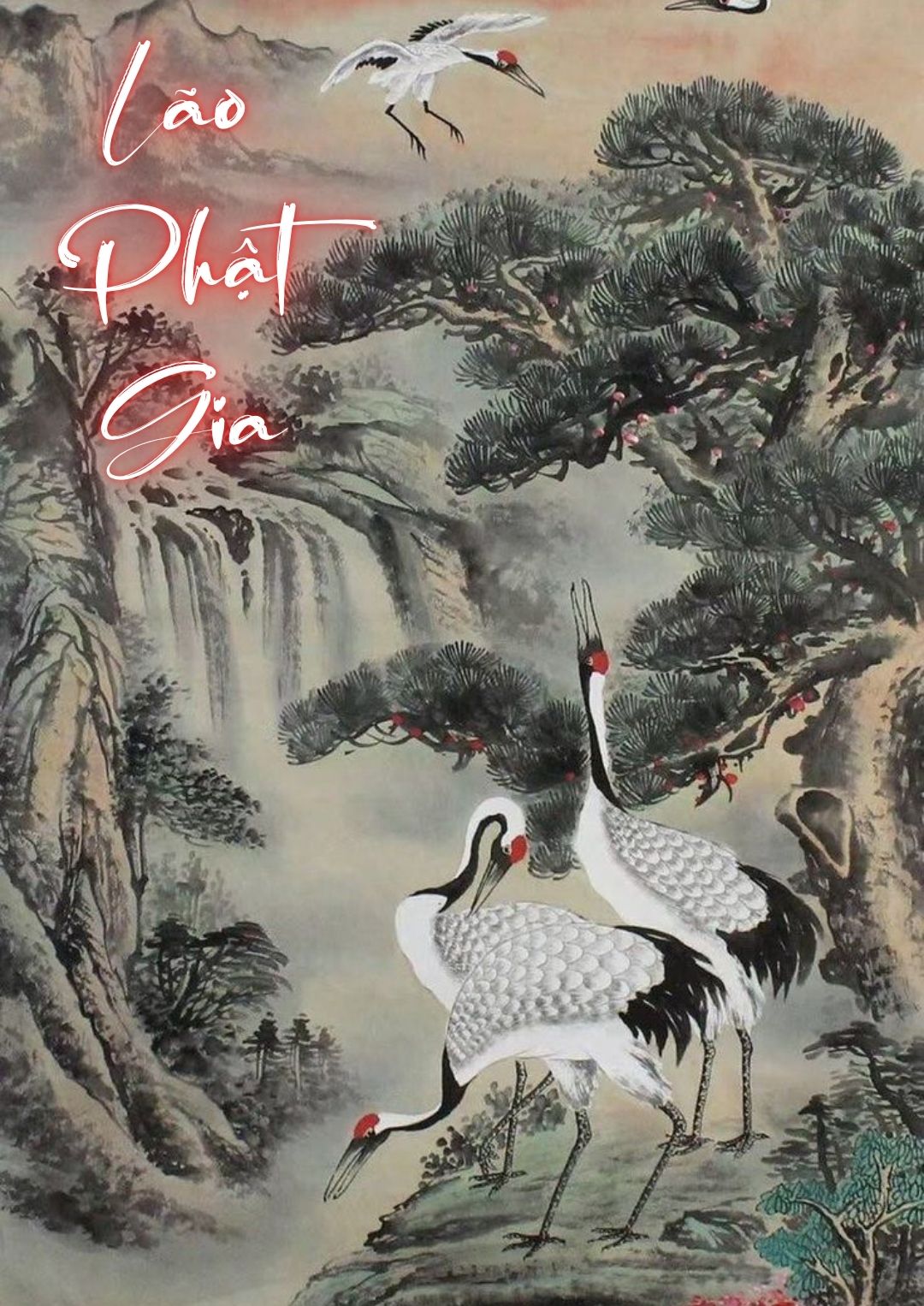 lao-phat-gia-2-4-1-4