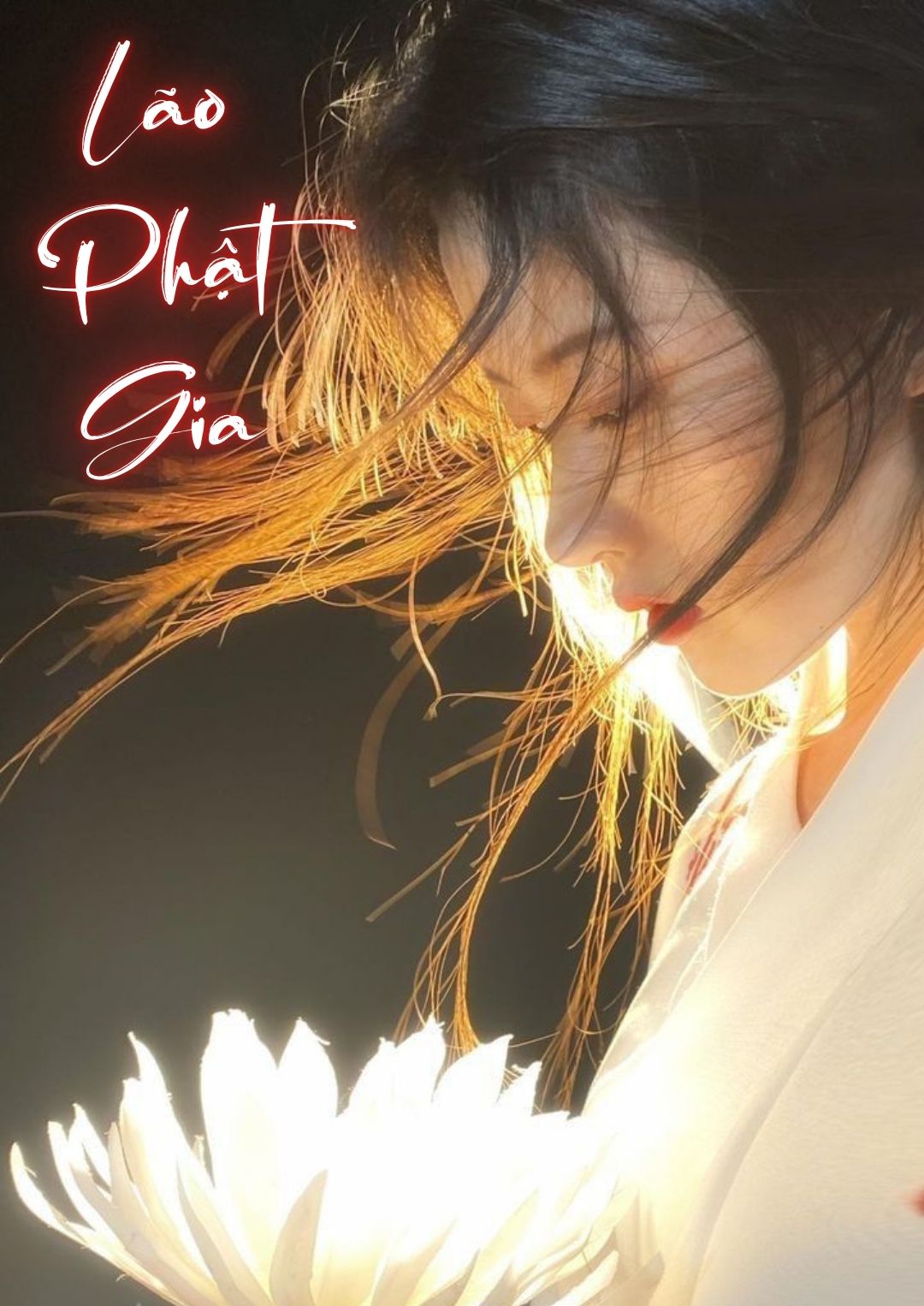 lao-phat-gia-3-1-18