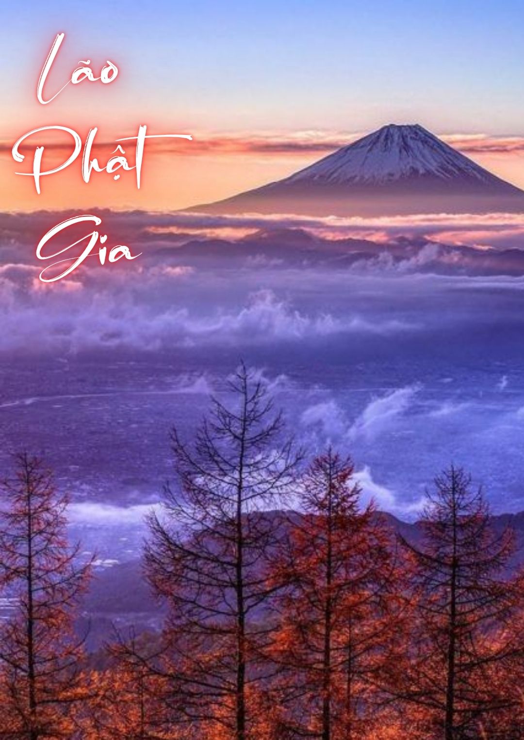lao-phat-gia-7-12
