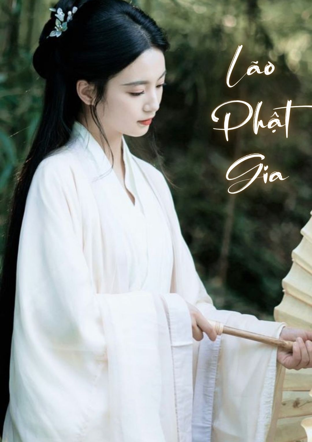 lao-phat-gia-8-3-1