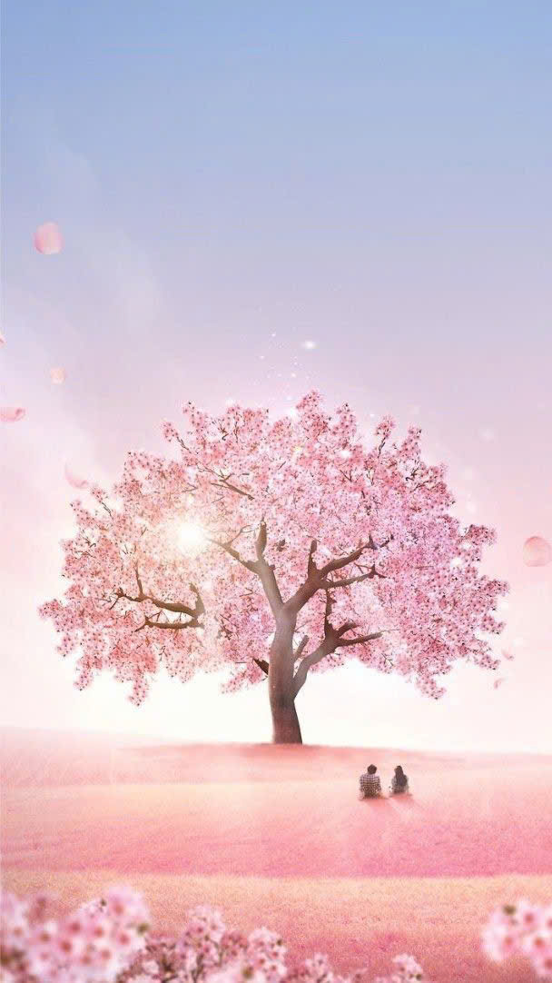 z6983414233195_b24e1b88cefe4a944c6d771446f6059b